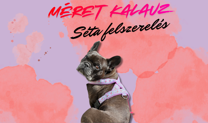 Csinieb