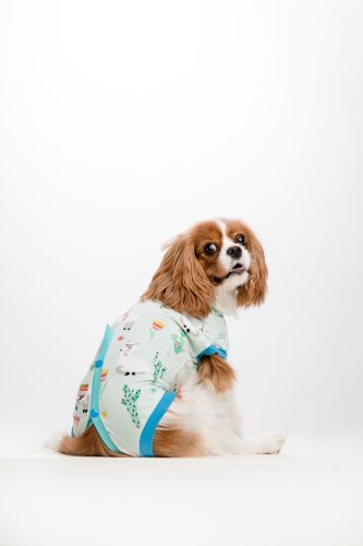 Műtét utáni ruha - Csinieb - ivartalanítás után - hasi műtét után - KAN fazon - mintás figurás