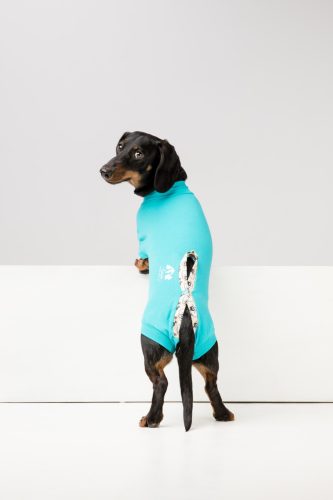 Műtét utáni ruha - Csinieb - ivartalanítás után - hasi műtét után - KAN fazon