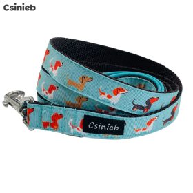 Fix bélelt póráz - KÉK TACSI MINTÁS