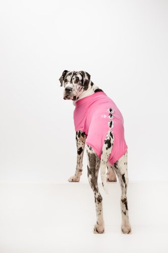 Műtét utáni ruha - szuka - rózsaszín - nagykutya - 11 méret