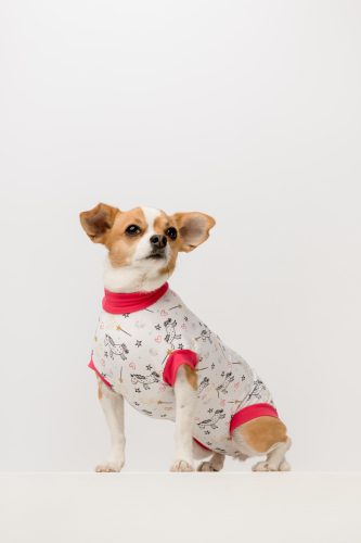 Műtét utáni ruha - szuka - mintás - hasa rész