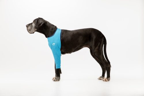 Végtagvédő ruha -bal  mellső lábra - kutya - egyszínű - kék - mellső láb