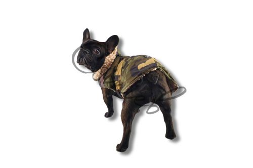 Csillag kabát  - KLASSZIKUS TEREPMINTÁS - BÉZS BUNDÁS