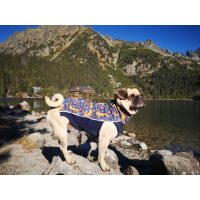 Sport kabát - ÁTMENETI