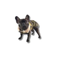 Csillag kabát - TÉLI