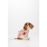 Műtét utáni termékek