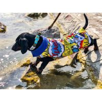 Vízlepergető kabátok