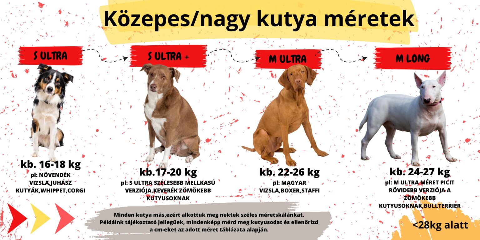 Kis és közepes
