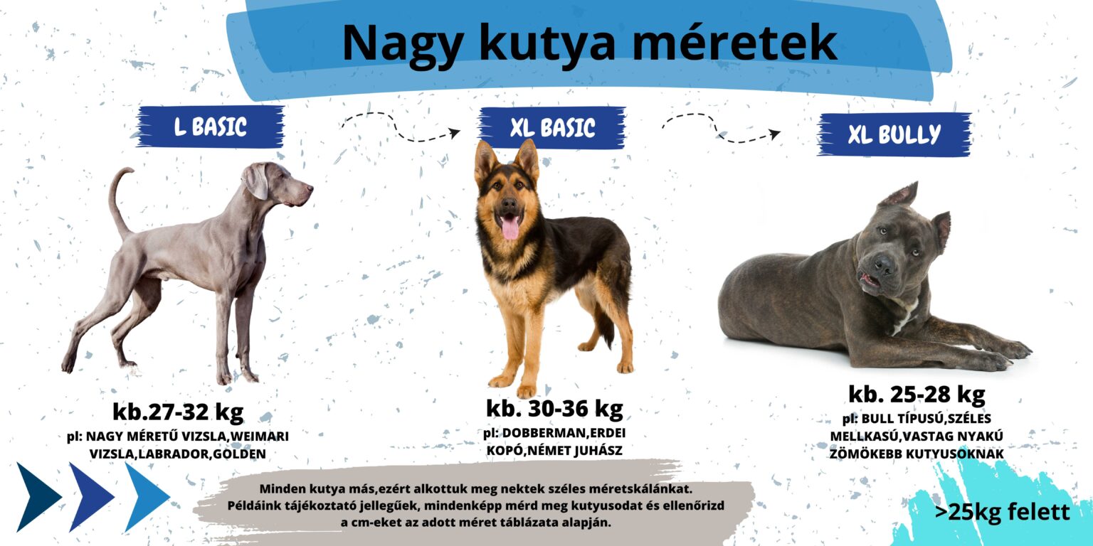 Nagy testű kutyák