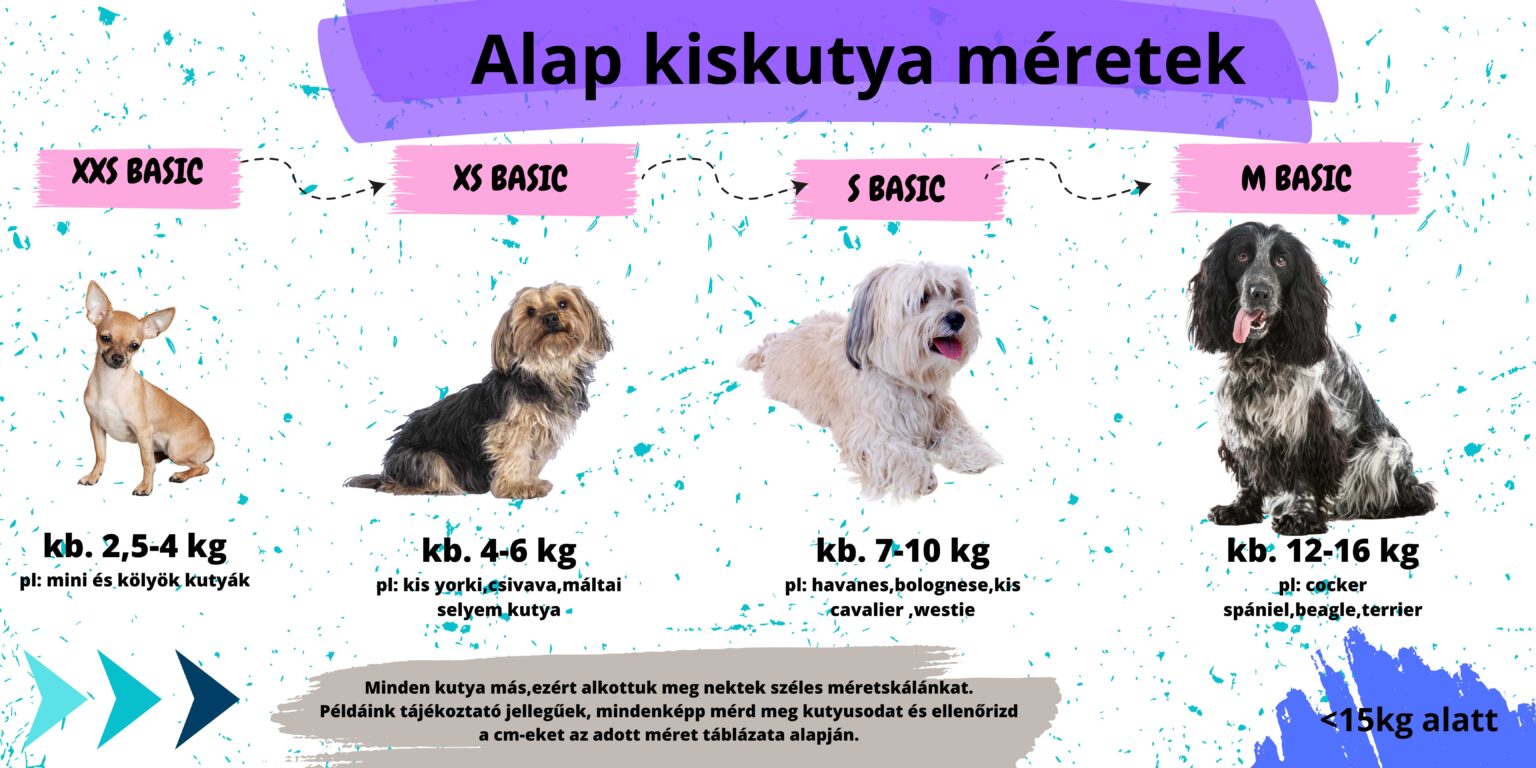 Mini és kis kutyák
