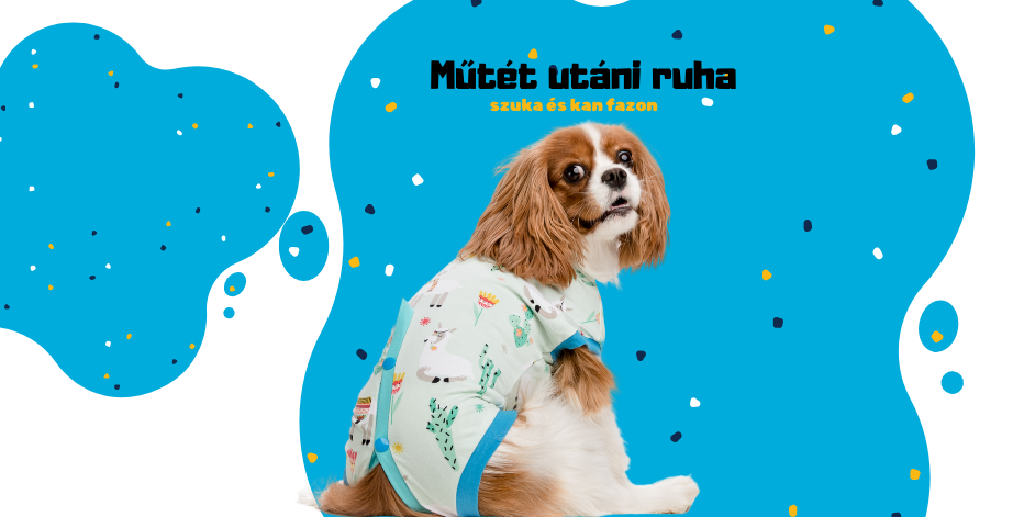Műtéti ruha