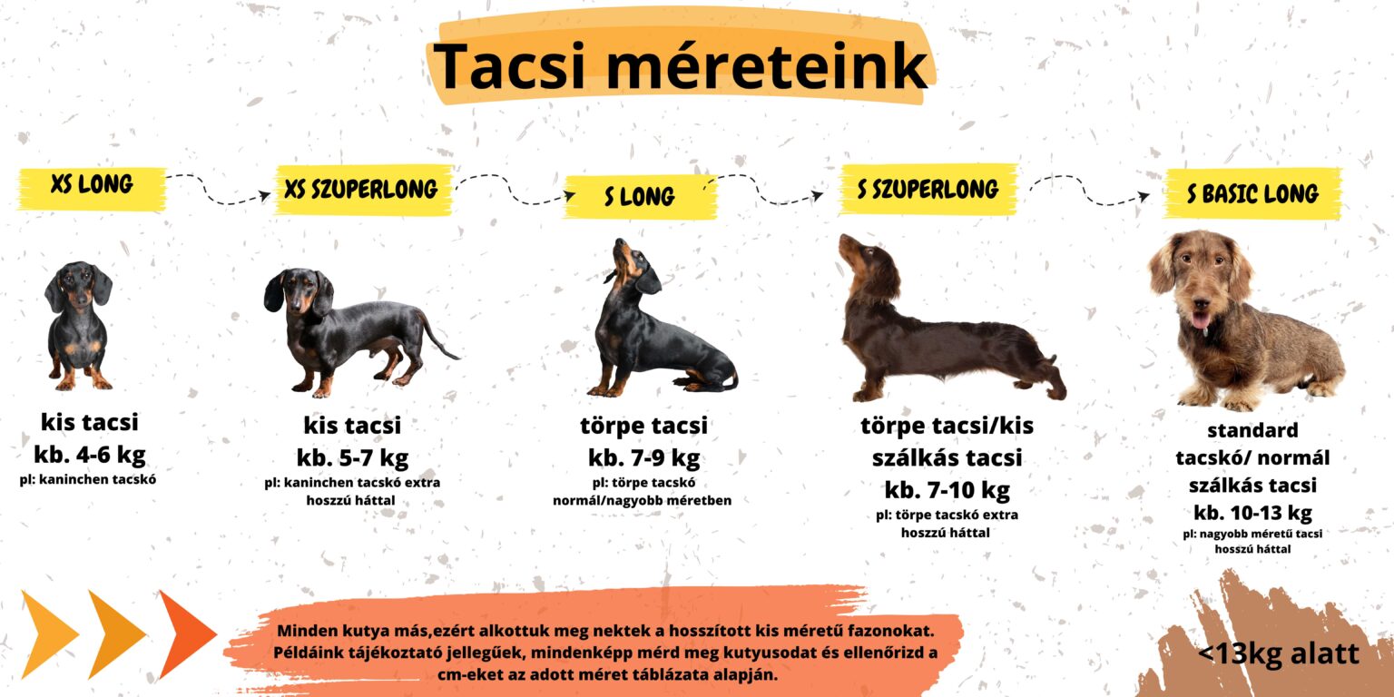 Tacskó